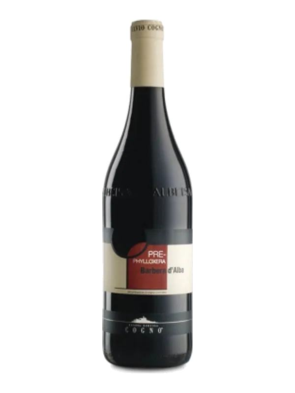 Barbera d'Alba Prefilossera