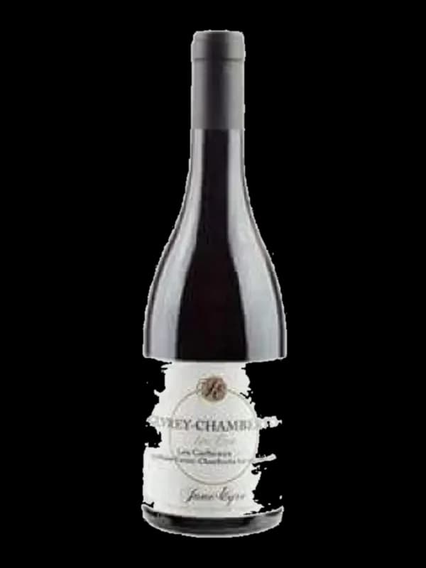 Gevrey-Chambertin 'Les Corbeaux'