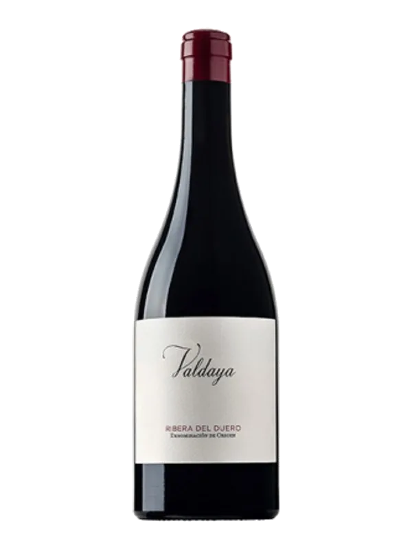 Valdaya Ribera Del Duero