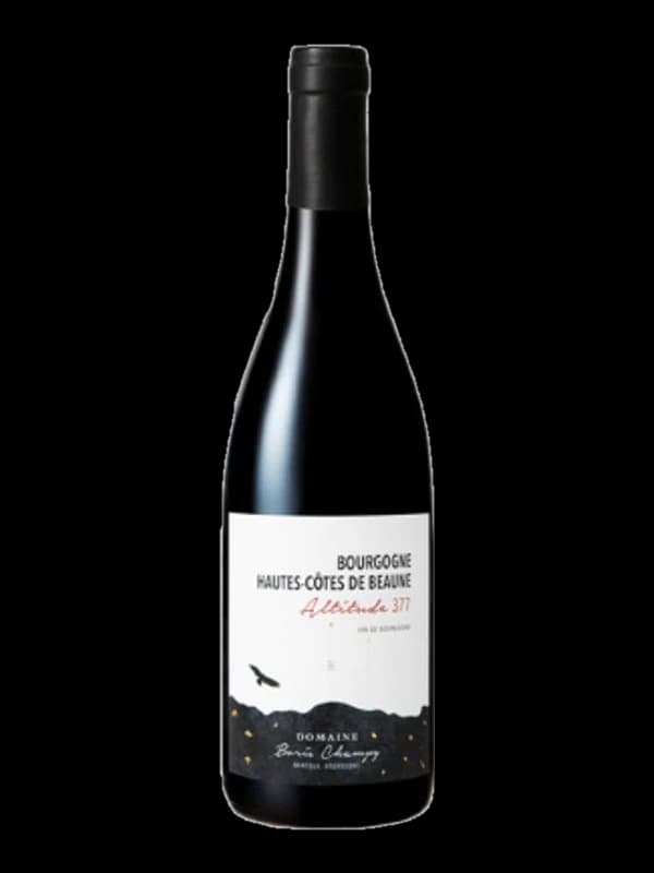 Hautes-Côtes de Beaune Altitude 377 Le Clou, Domaine Boris Champy