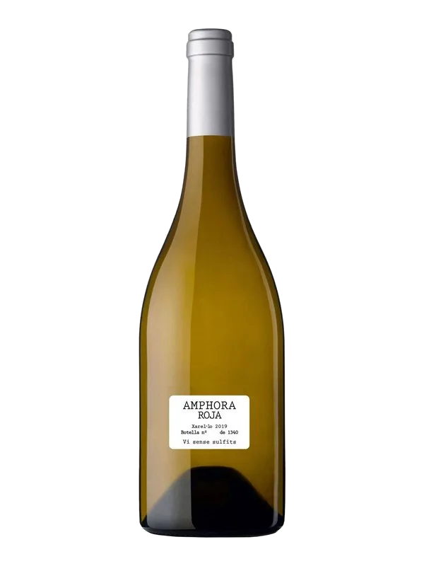 Amphora