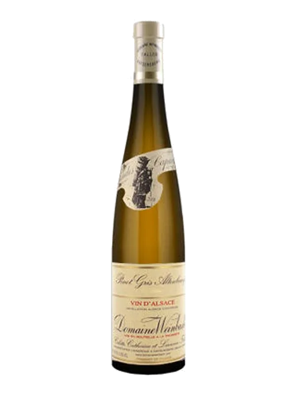 Pinot Gris, Altenbourg, Weinbach