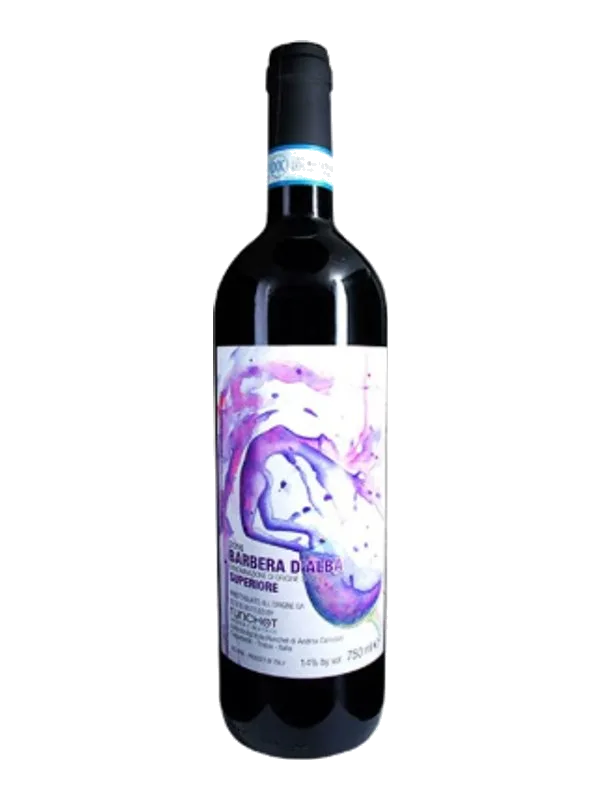 Runchet Barbera d'Alba Superiore