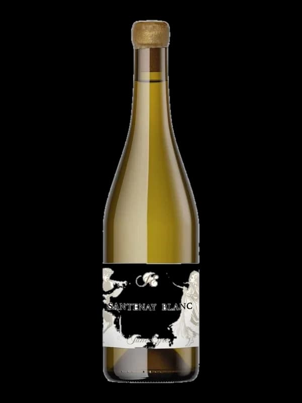 Santenay Village Blanc